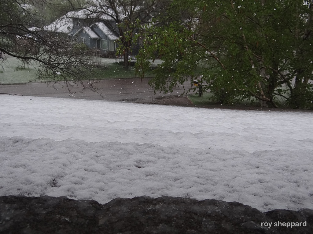 Mother's Day snow May 10, 2015 Jamestown, ND  - CSi Photos